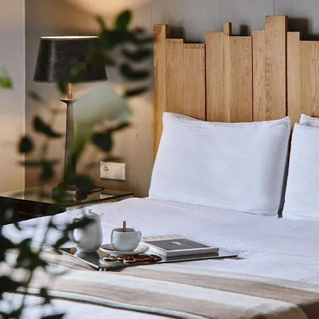 Despotiko Hotel Portariá