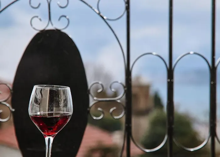 Despotiko Hotel Portariá