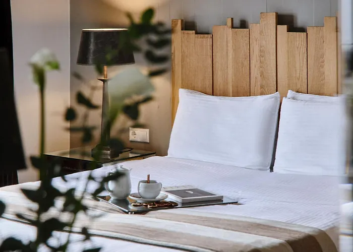 Despotiko Hotel Portariá