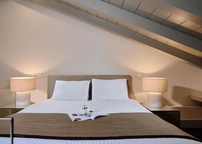 Despotiko 4* Portariá